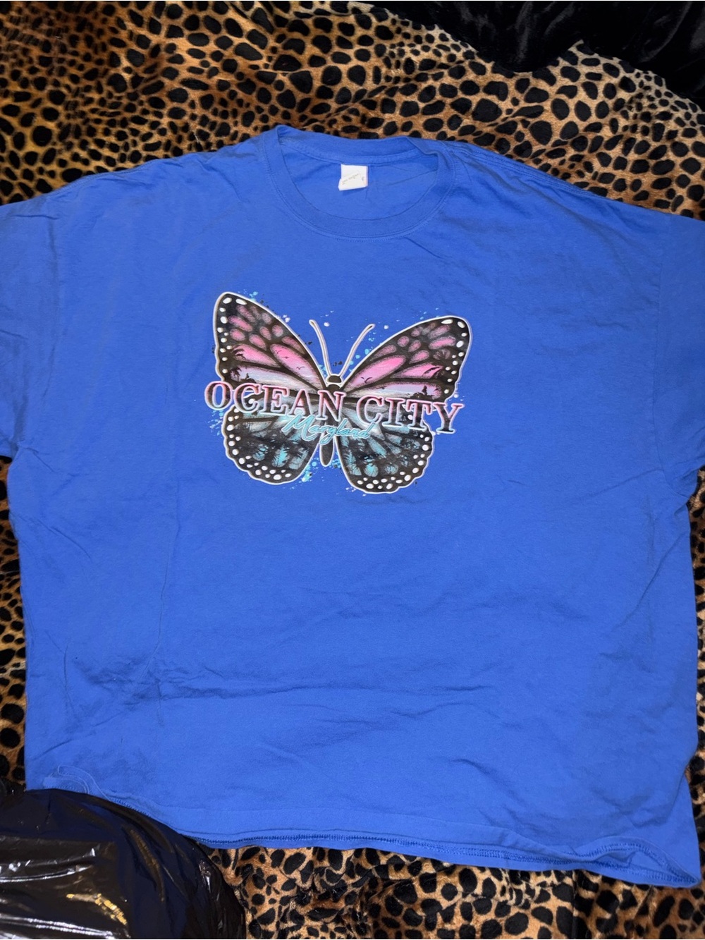 Shirt - Picture 3 of 7